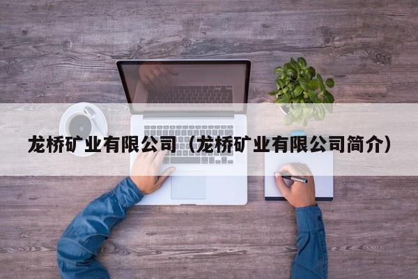 龙桥矿业有限公司（龙桥矿业有限公司简介）